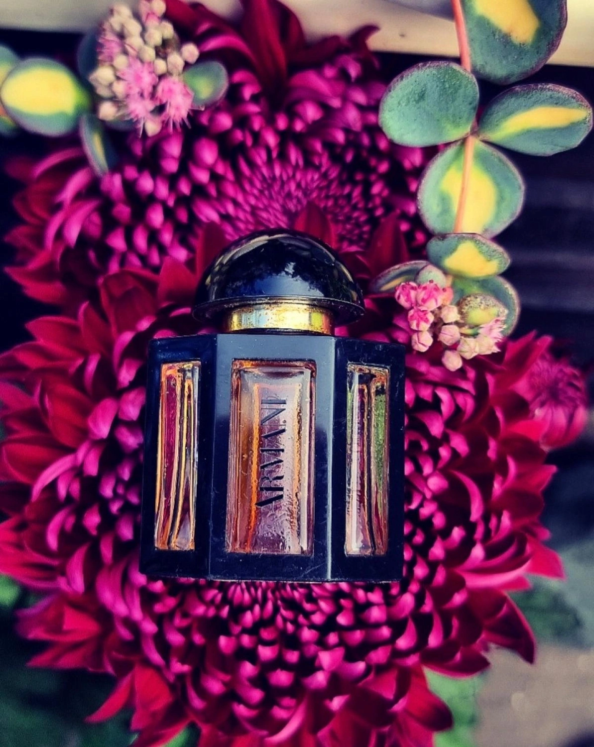 Armani
