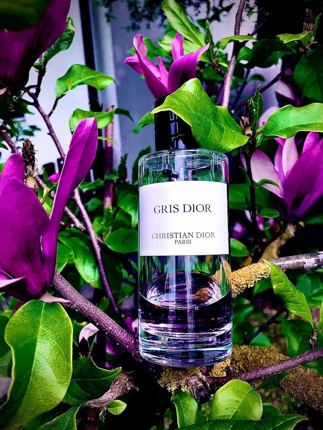 Christian Dior Gris Dior