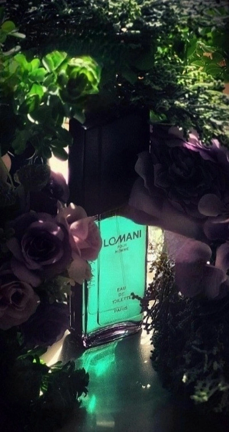 Lomani pour Homme