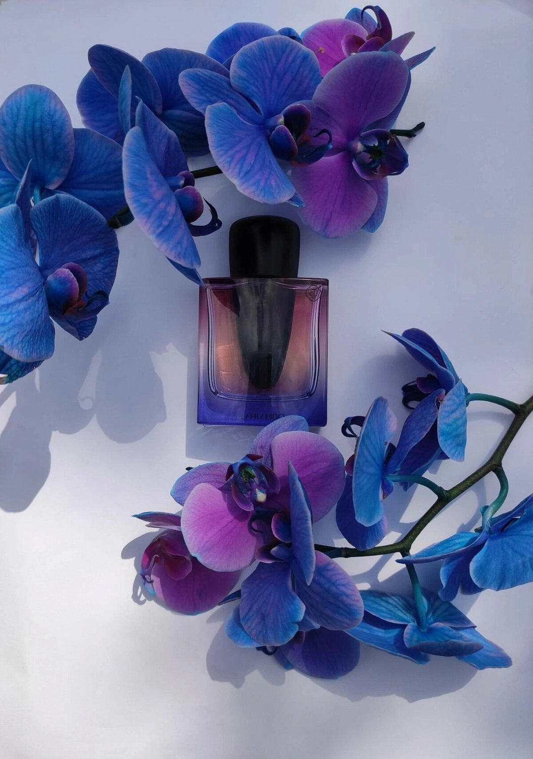 Shiseido Ginza Night