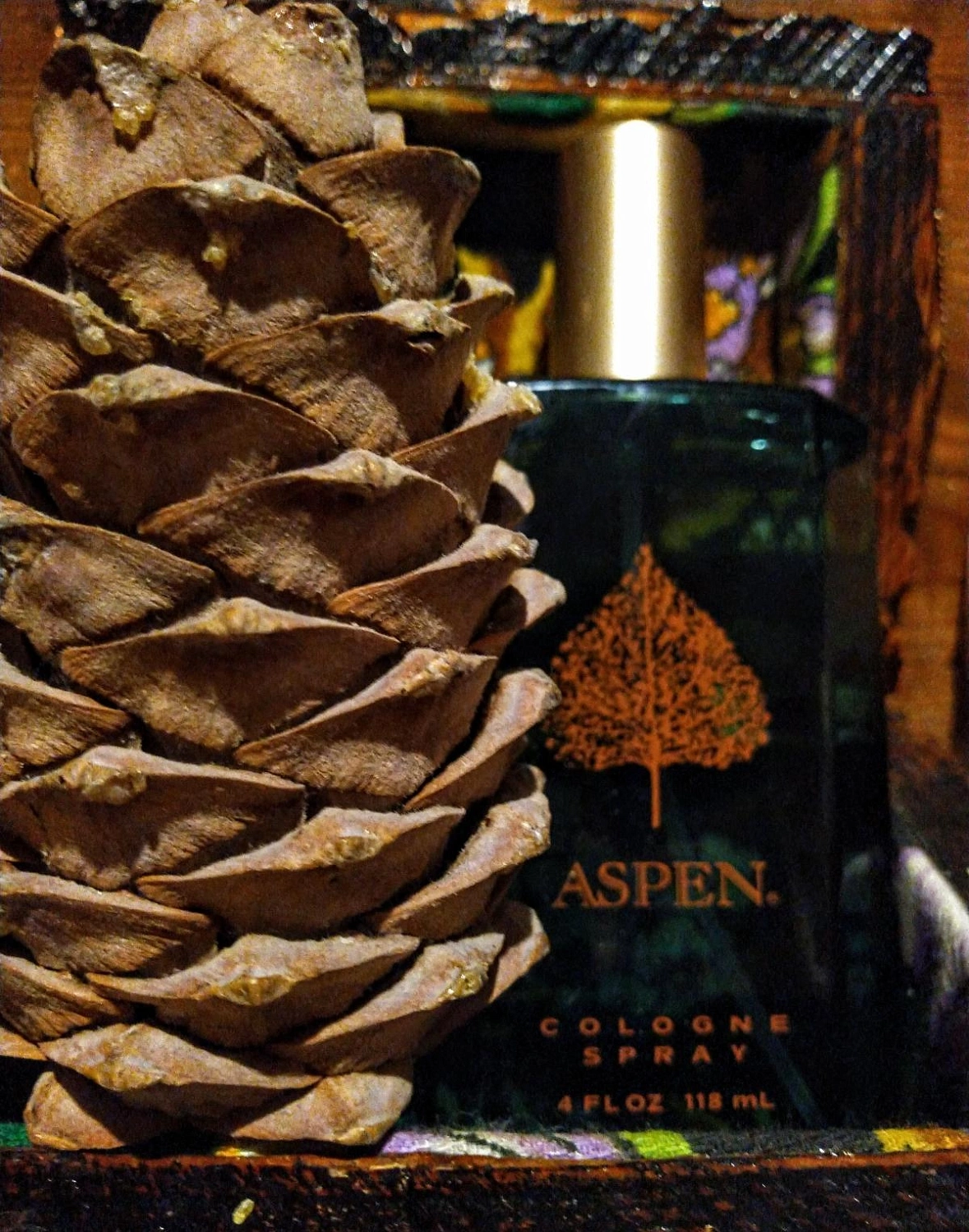 Coty Aspen For Men