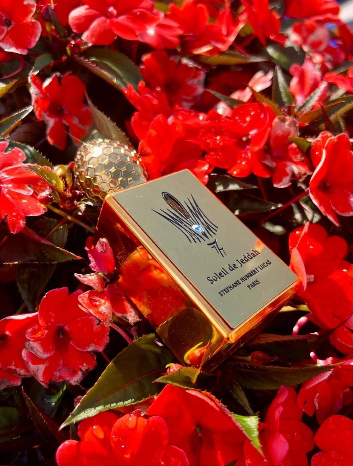 Stéphane Humbert Lucas 777 Soleil de Jeddah Mango Kiss