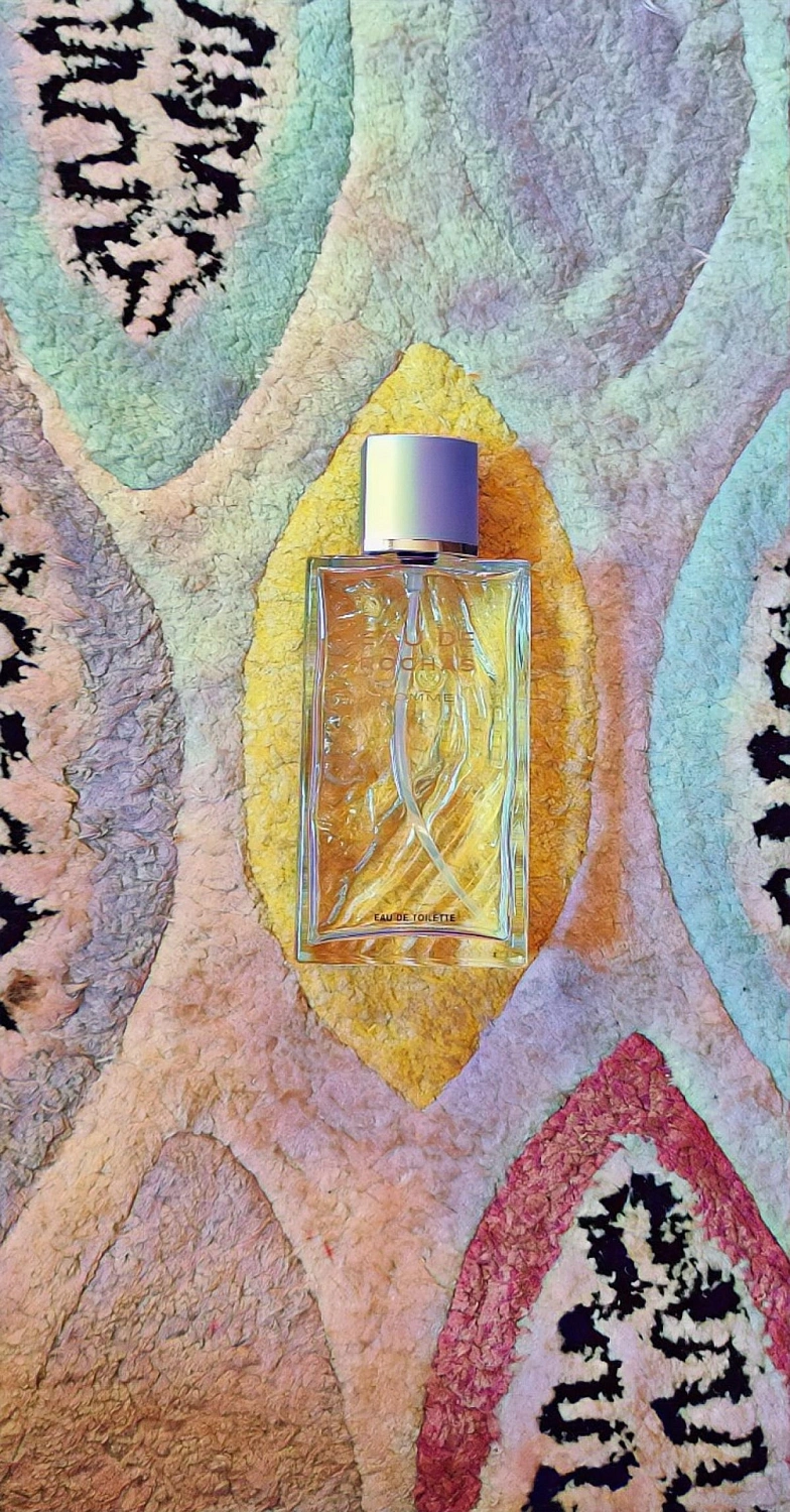 Eau de Rochas Homme