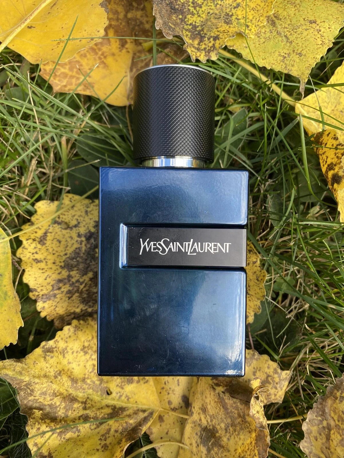 Yves Saint Laurent Y Elixir
