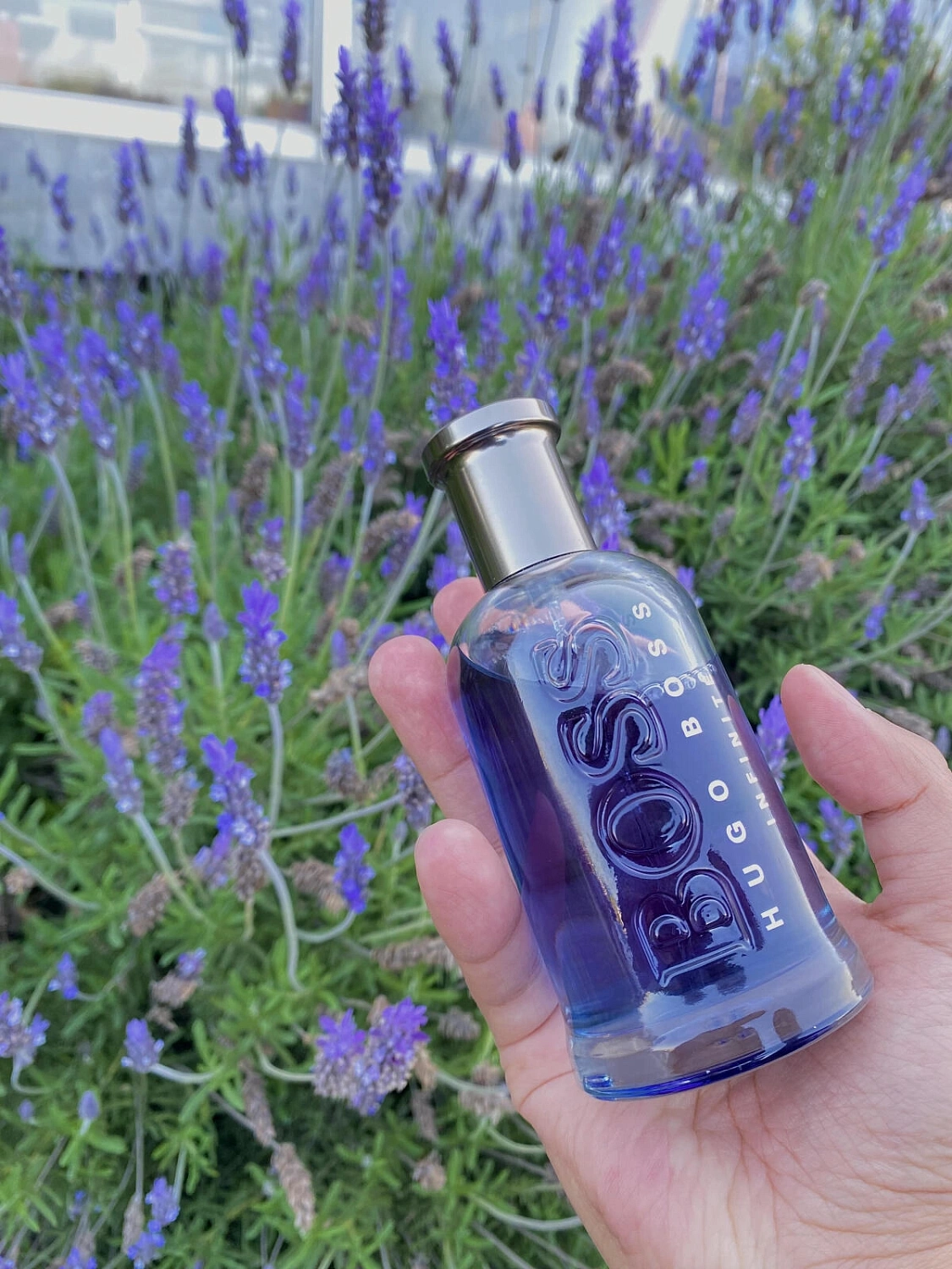 Hugo Boss Bottled Infinite