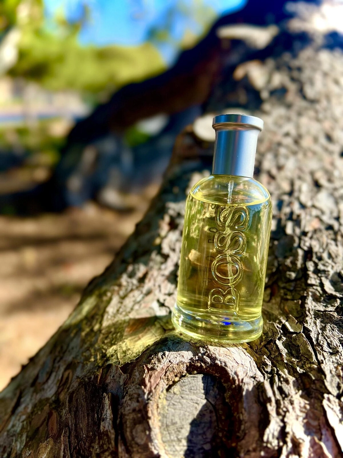 Hugo Boss Bottled (No.6)
