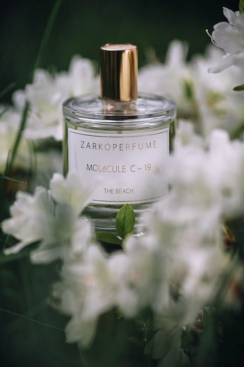 ZarkoPerfume MOLeCULE C-19 The Beach