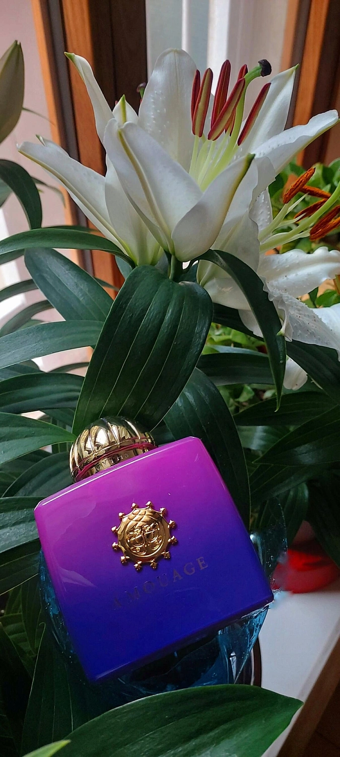 Amouage Myths Woman