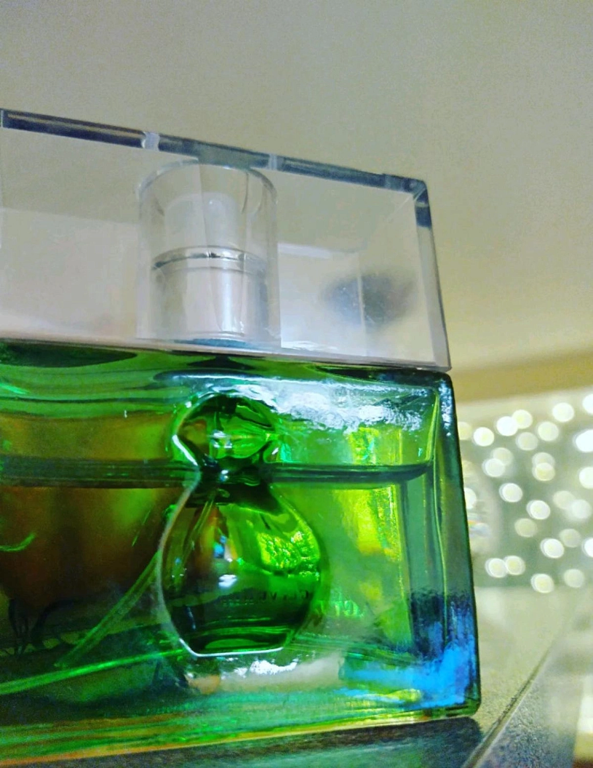 Salvador Dalí Agua Verde