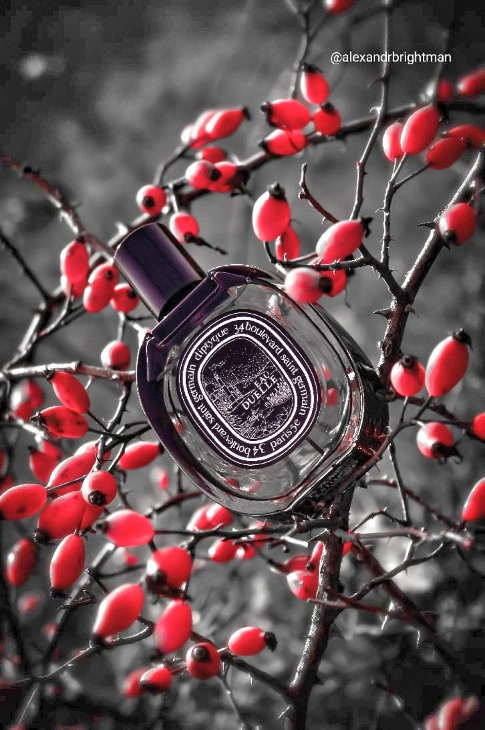 Diptyque Eau Duelle Eau de Parfum