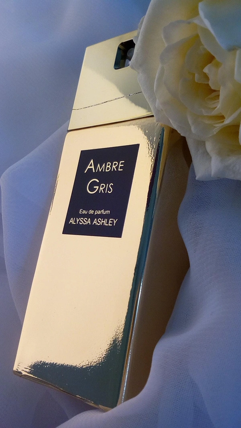 Alyssa Ashley Ambre Gris