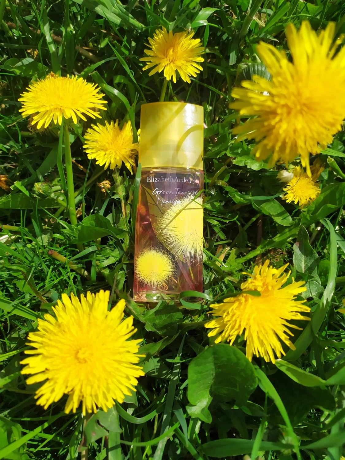 Elizabeth Arden Green Tea Mimosa