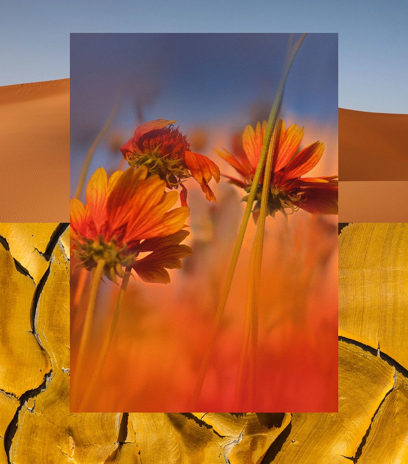 Aqualis Namaqualand