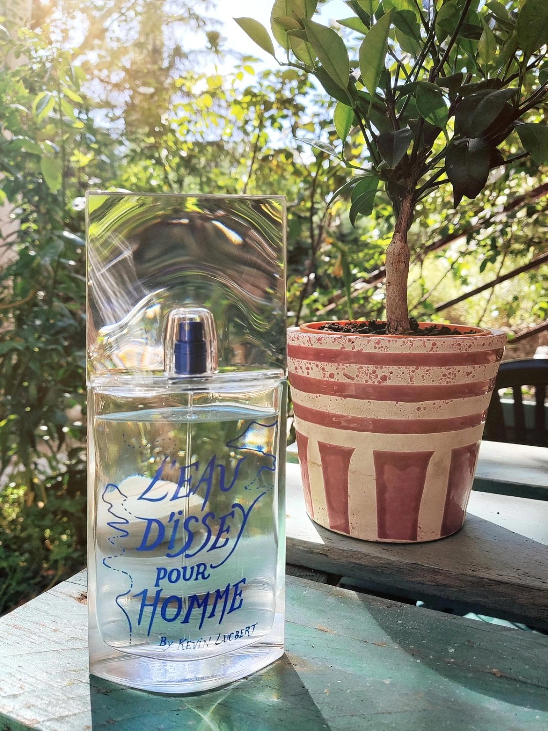 Issey Miyake L'Eau d'Issey Pour Homme Summer Edition by Kevin Lucbert