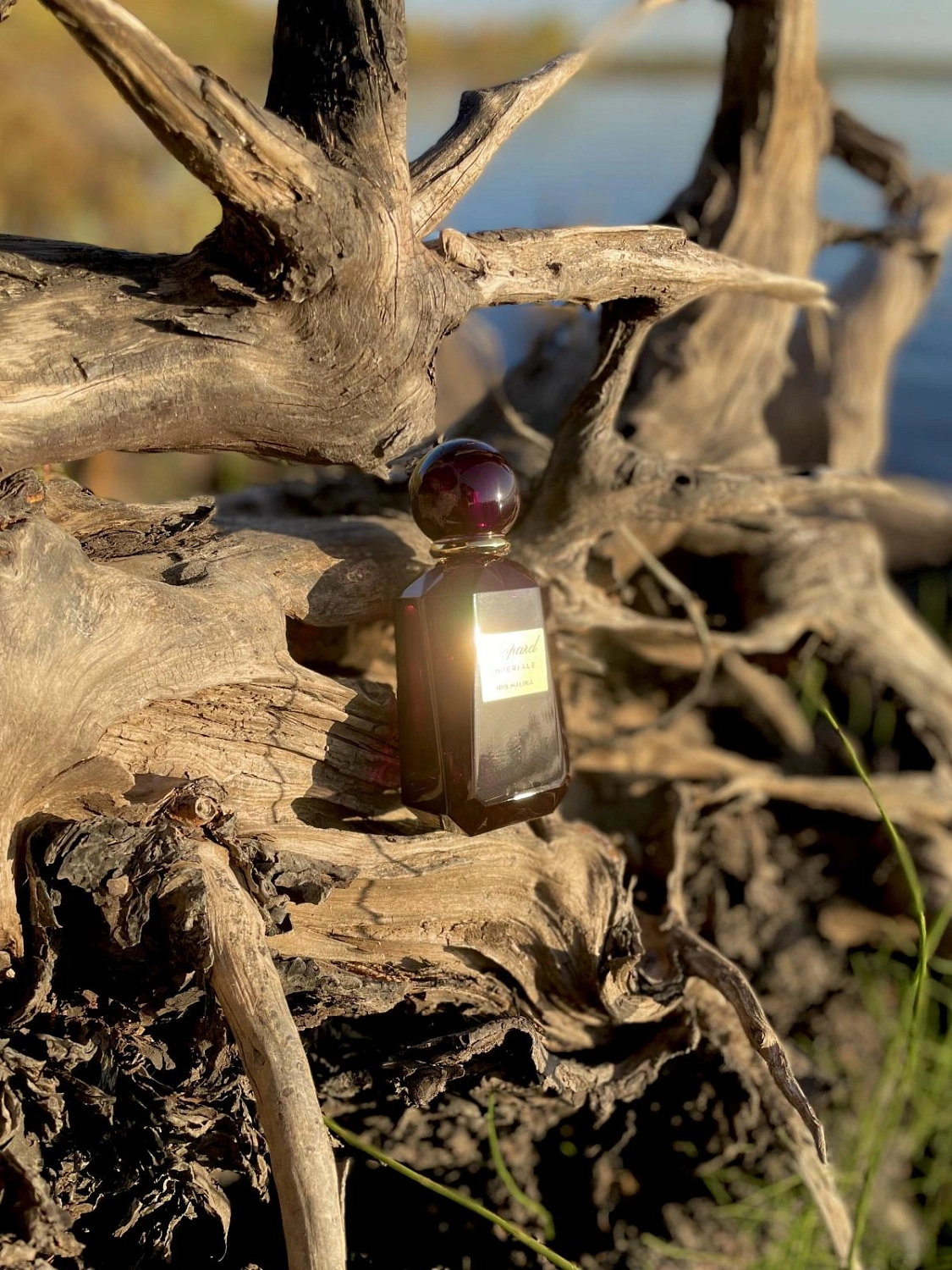 Chopard Iris Malika