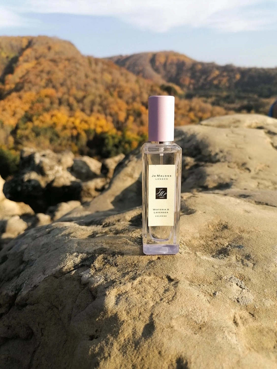 Jo Malone Wisteria & Lavender (Lavenderland Collection)
