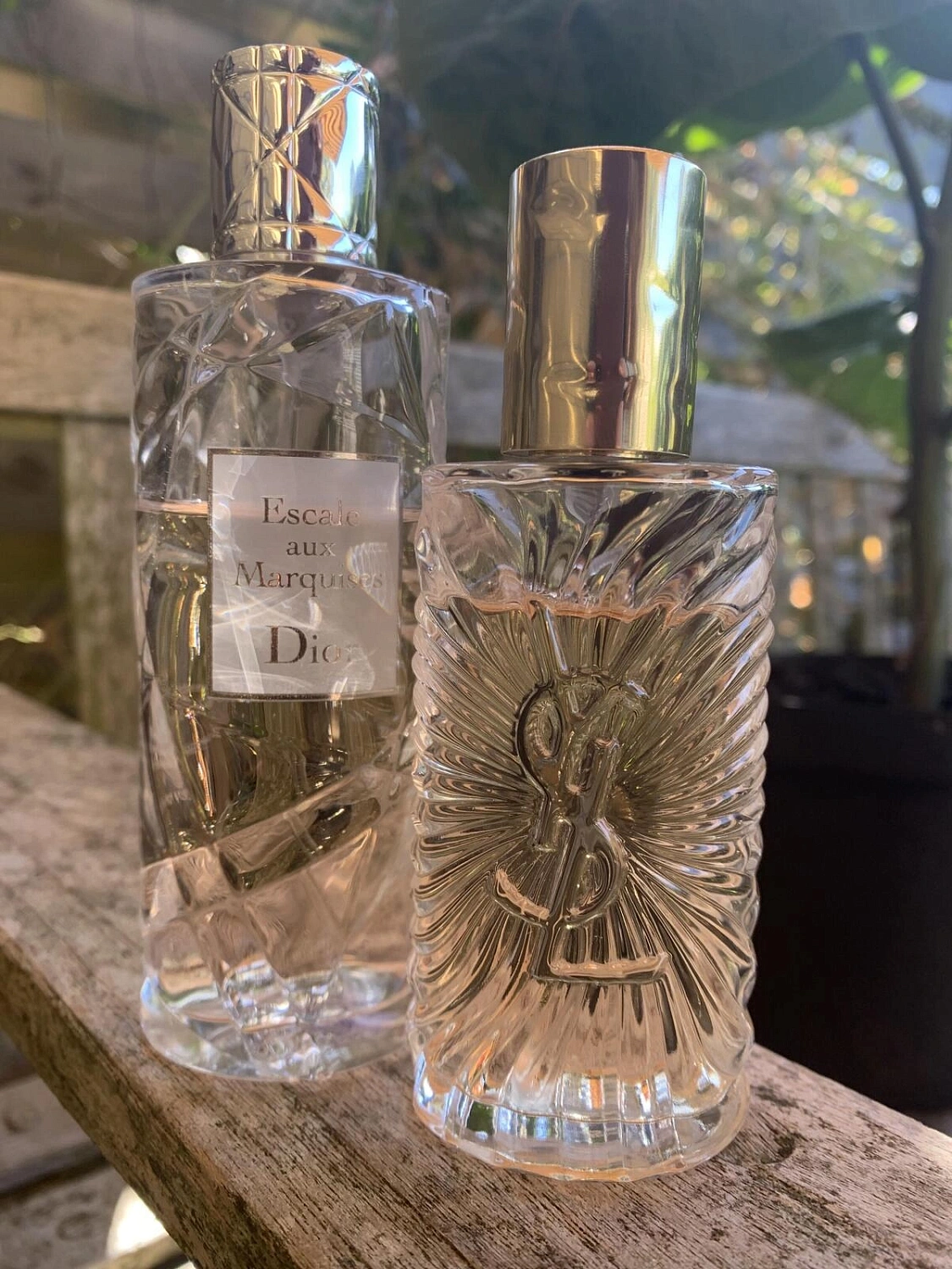 Yves Saint Laurent Saharienne