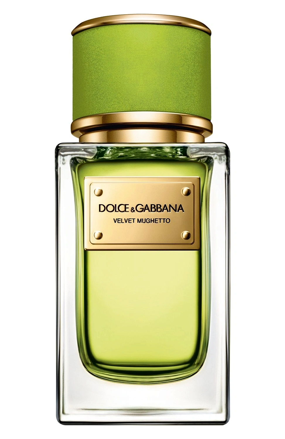 Dolce & Gabbana Velvet Mughetto