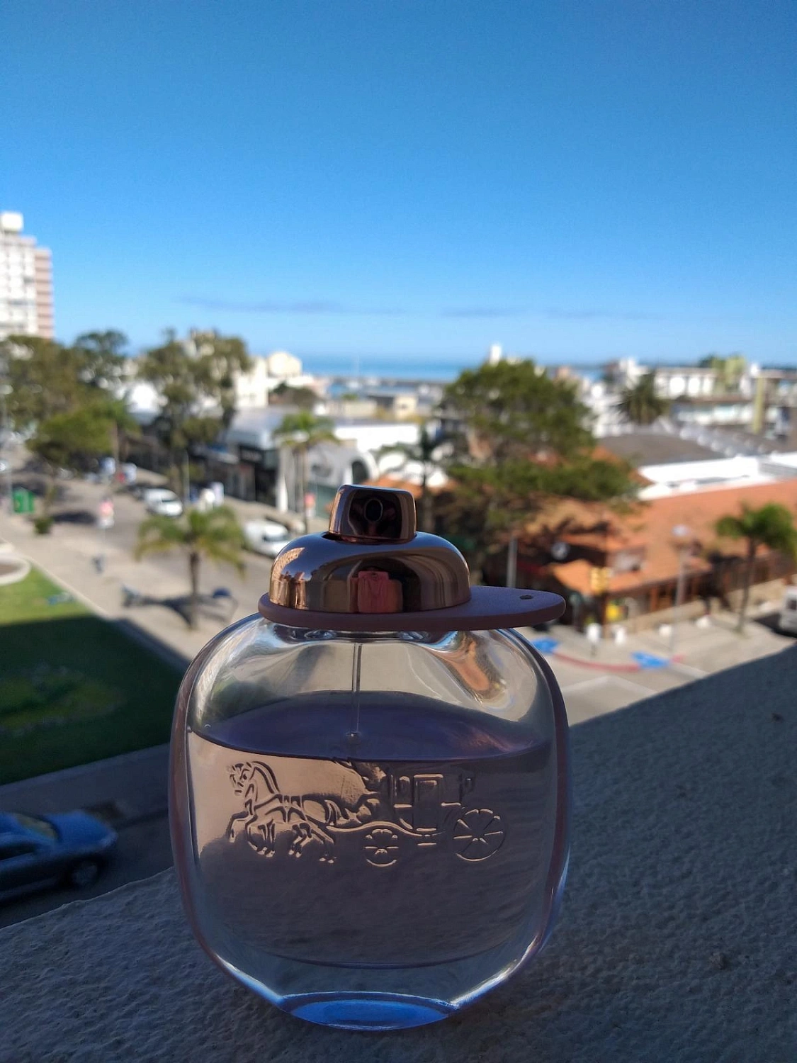 Coach Floral Eau The Parfum