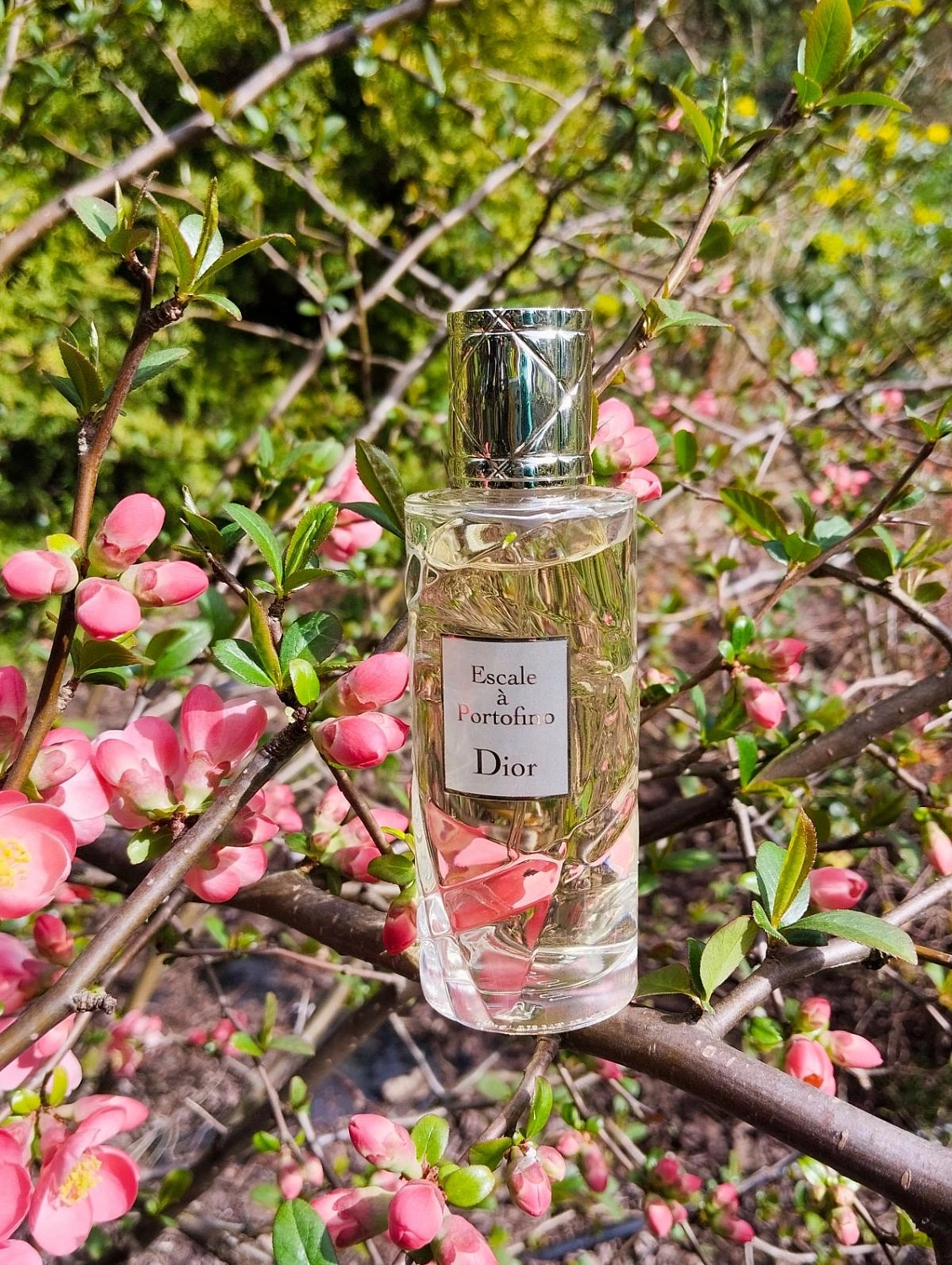 Christian Dior Escale a Portofino