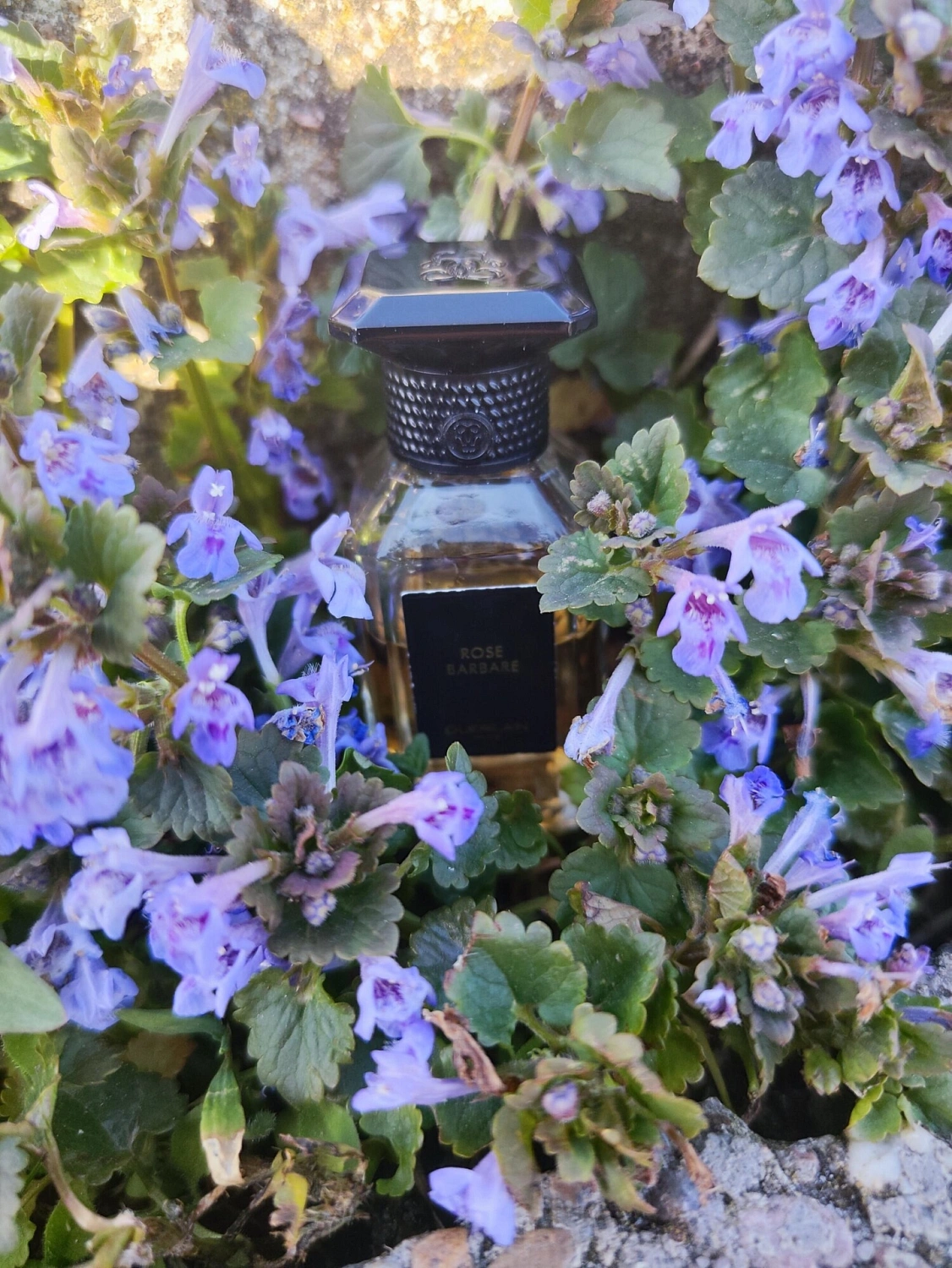 Guerlain Rose Barbare