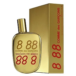 Comme des Garçons 888