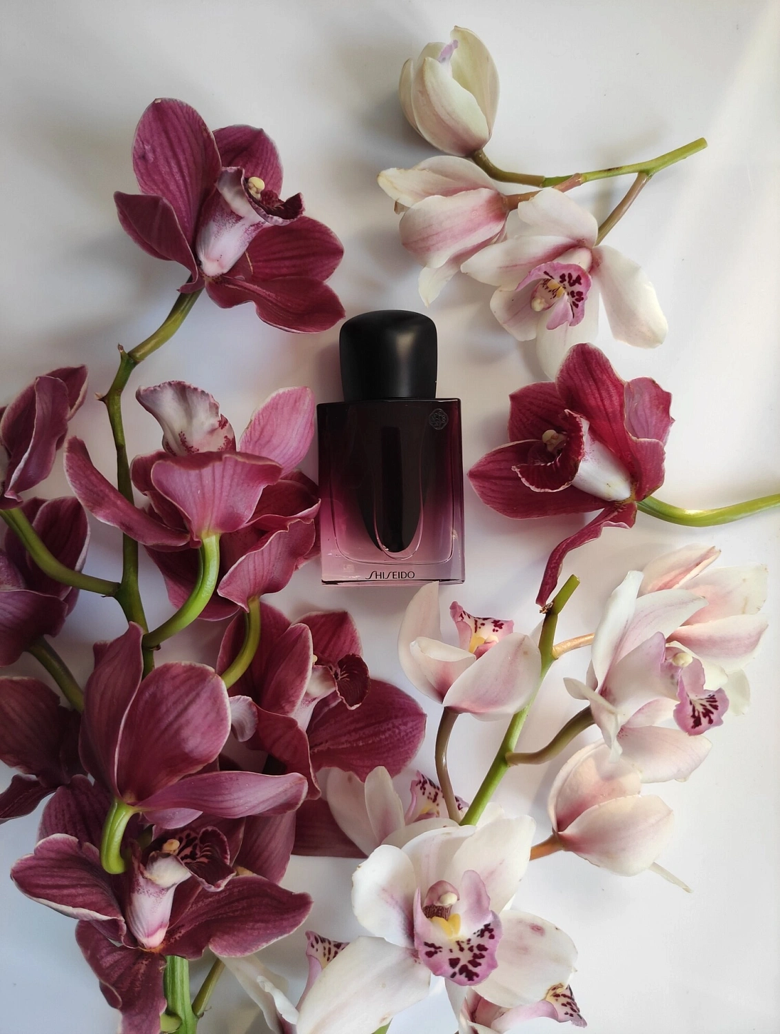 Shiseido Ginza Datura
