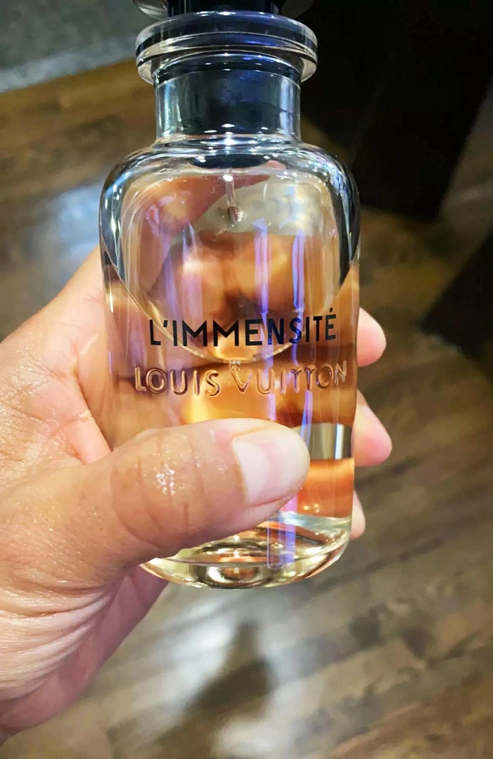 Louis Vuitton L'Immensité