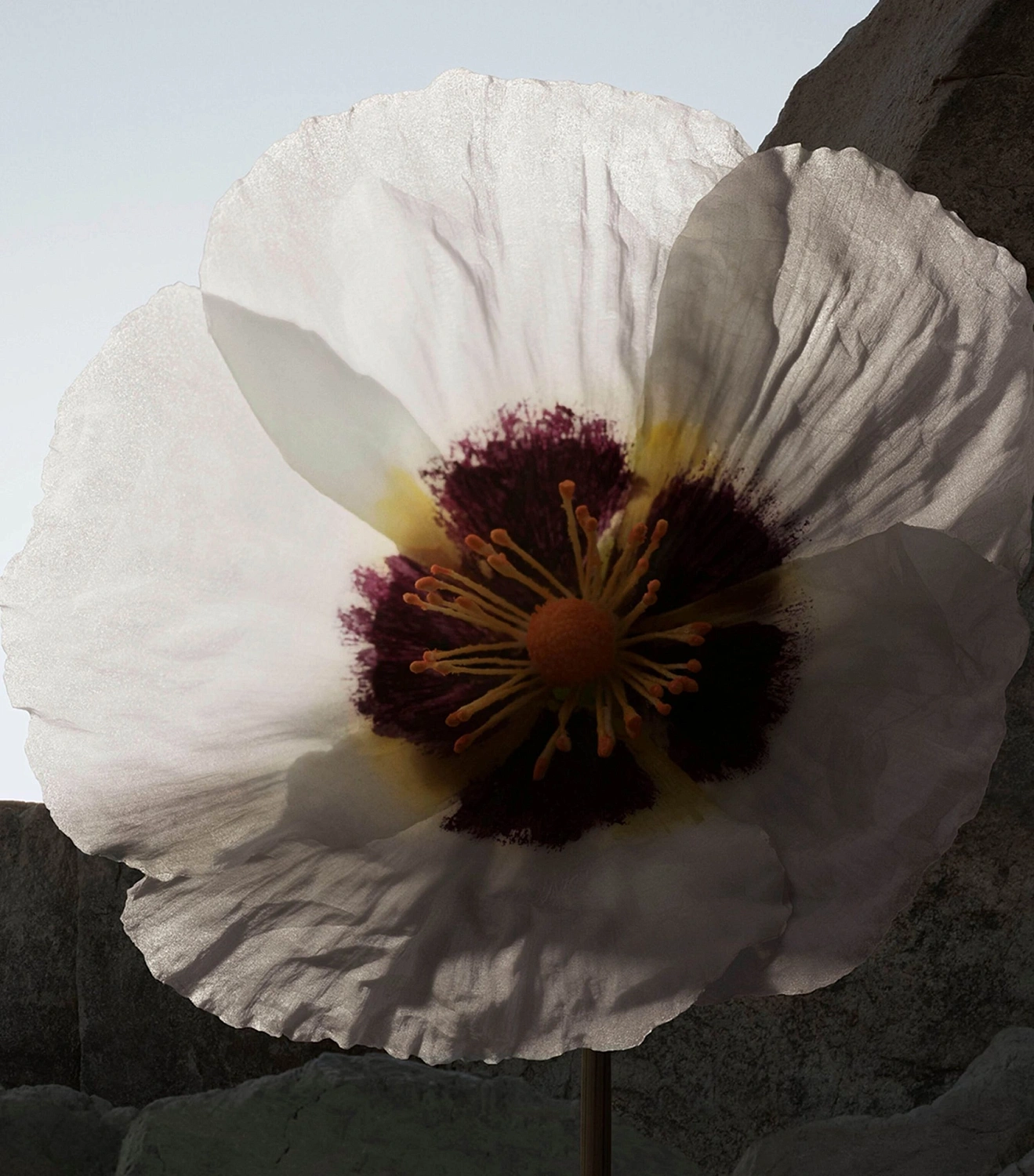Burberry Ash Flower