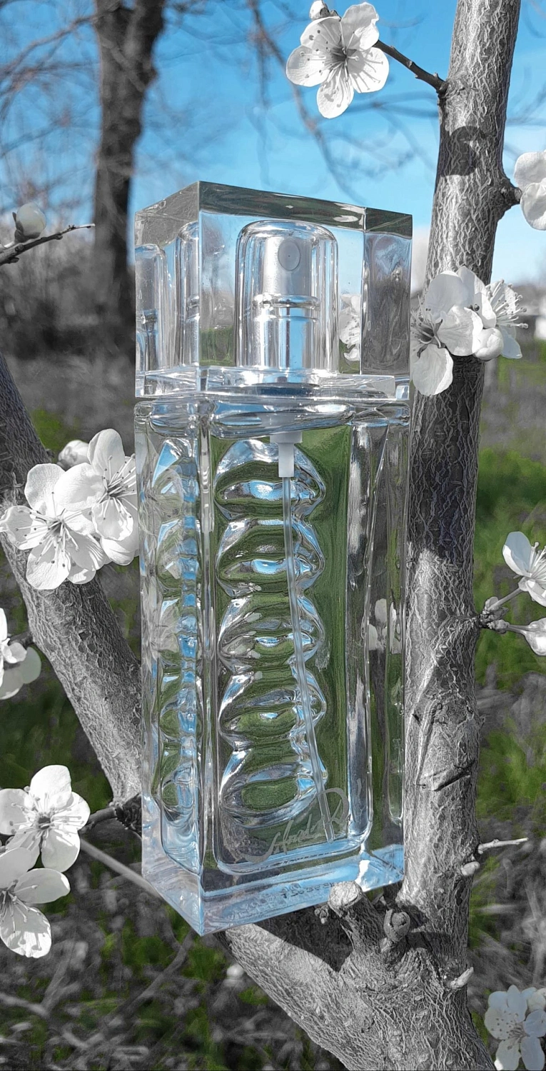 Salvador Dalí Eau de Rubylips