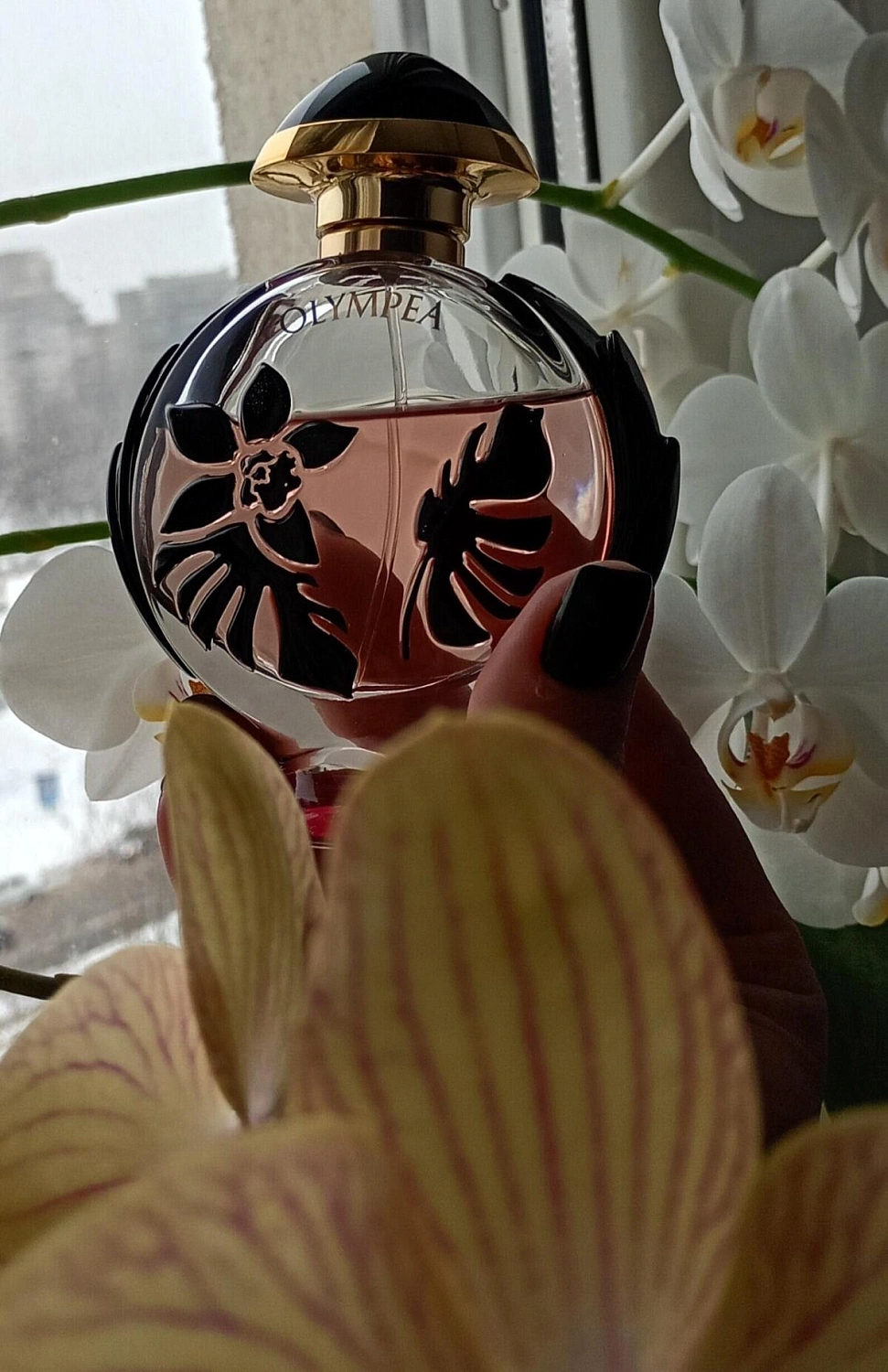 Paco Rabanne Olympea Flora