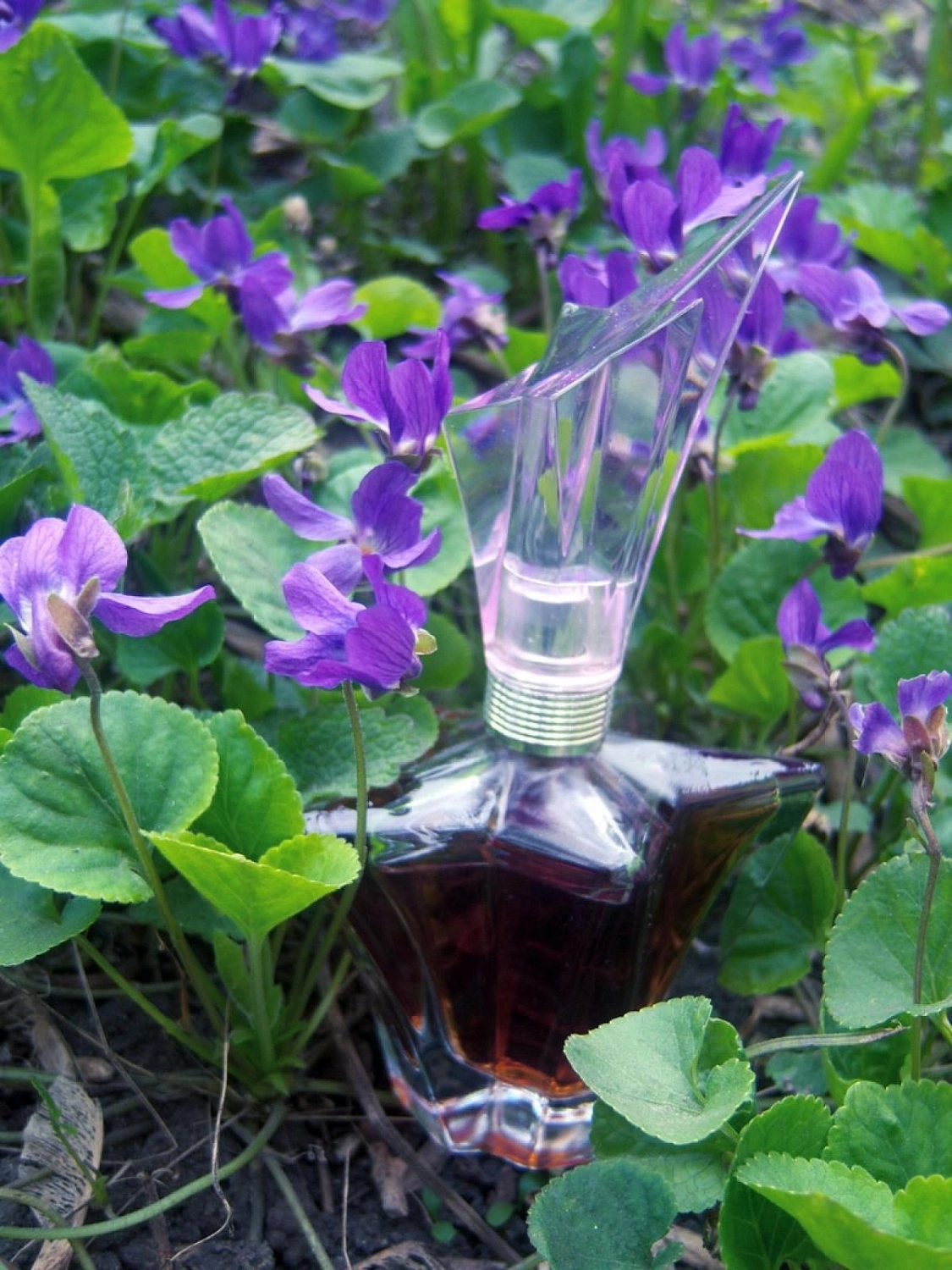 Mugler Angel Garden Of Stars - Violette Angel