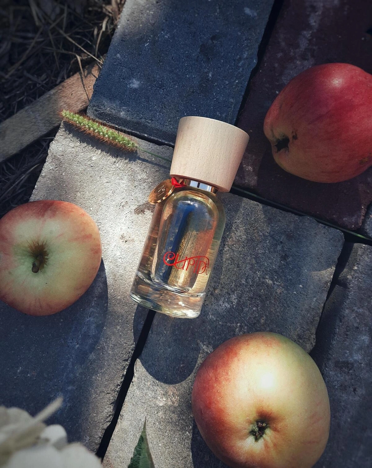 Cupid Perfumes Cupid No. 1