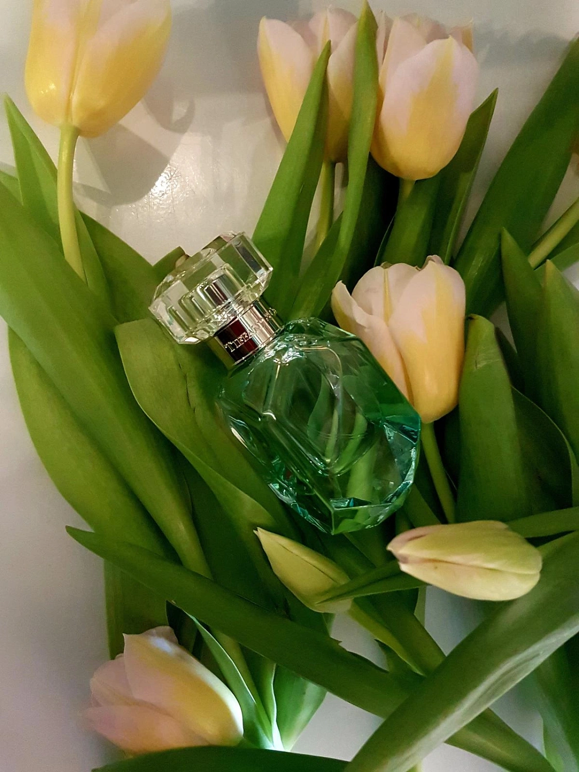 Tiffany & Co Intense