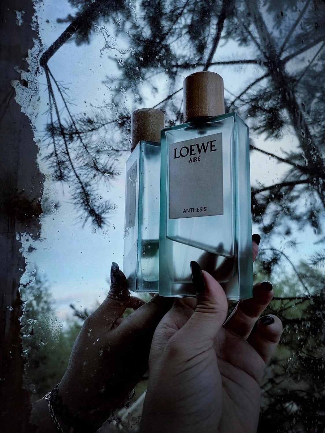 Loewe Aire Anthesis