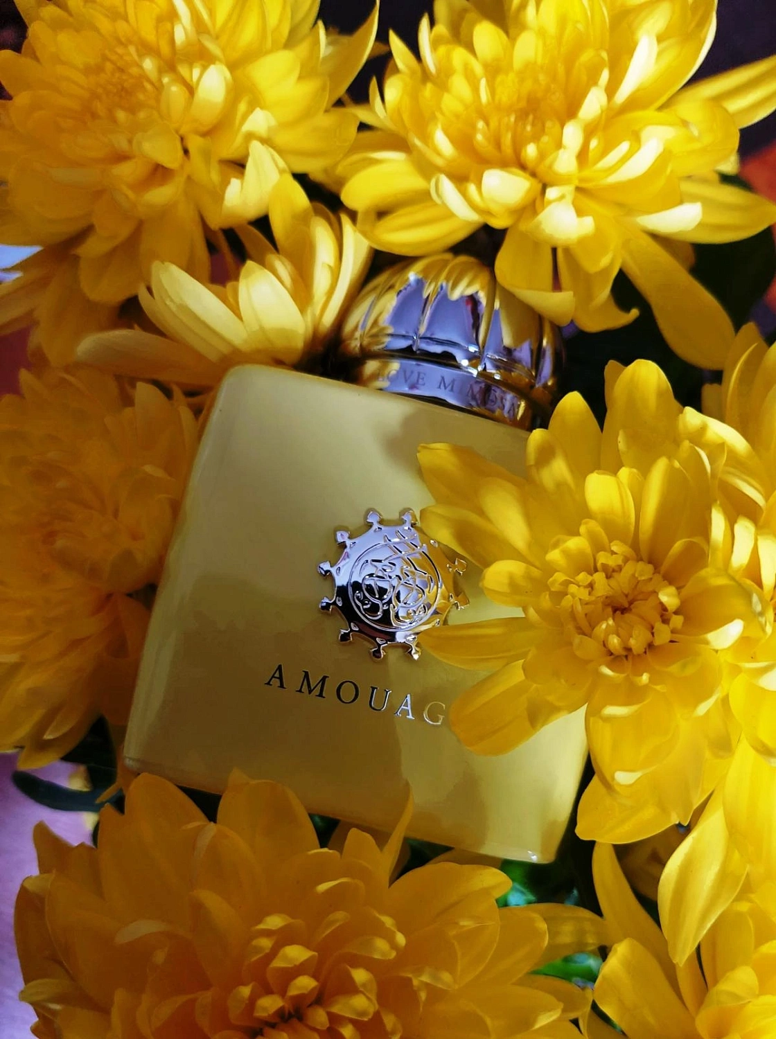 Amouage Love Mimosa