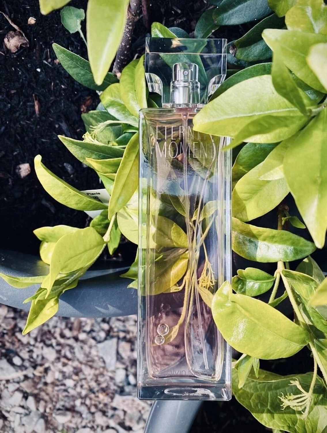 Calvin Klein Eternity Moment