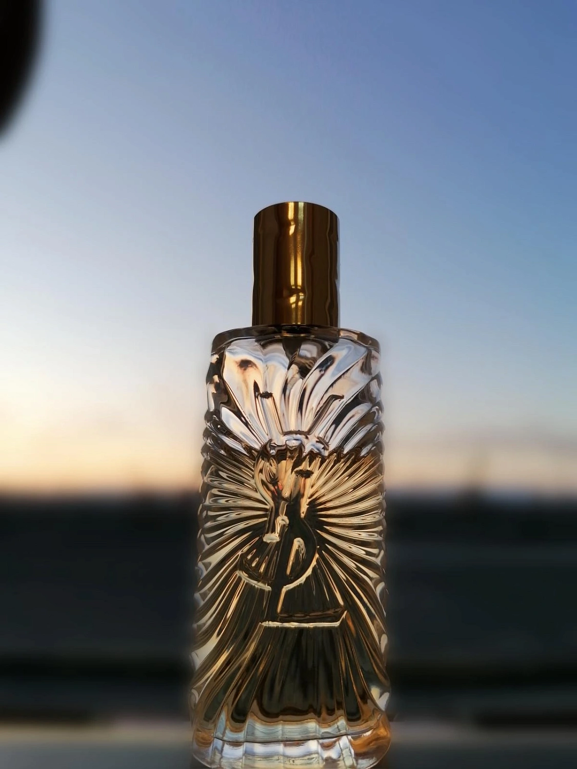 Yves Saint Laurent Saharienne