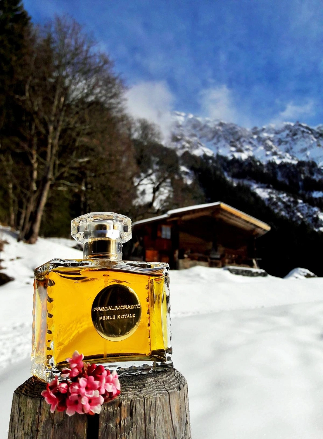 Pascal Morabito Perle Royale