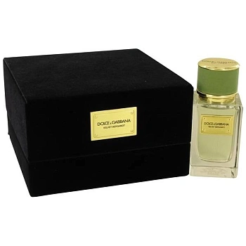 Фото Dolce & Gabbana Velvet Bergamot