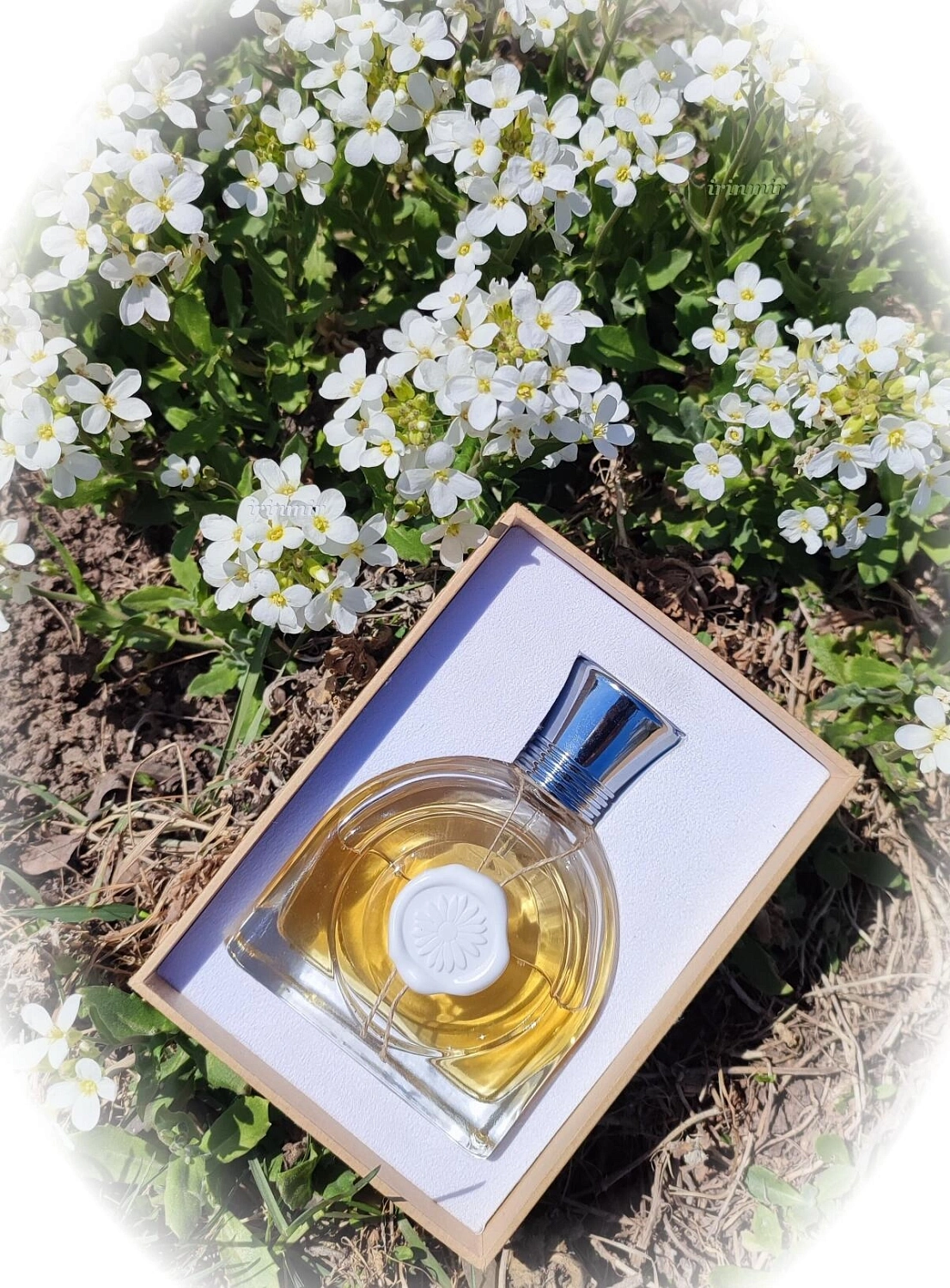 M.Micallef Fleur de Lune