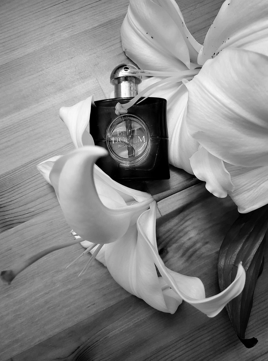 Yves Saint Laurent Belle d'Opium