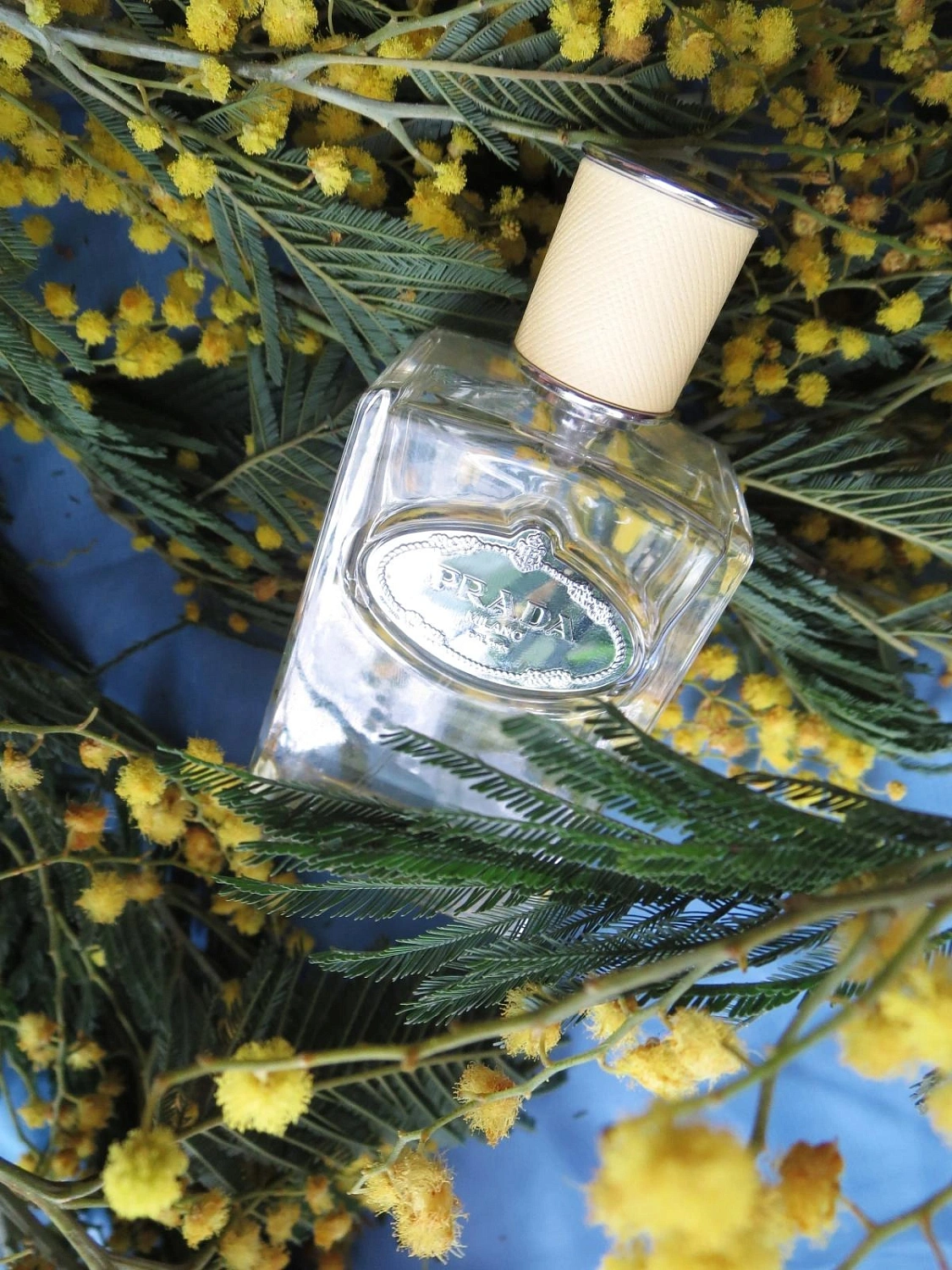 Prada Infusion de Mimosa