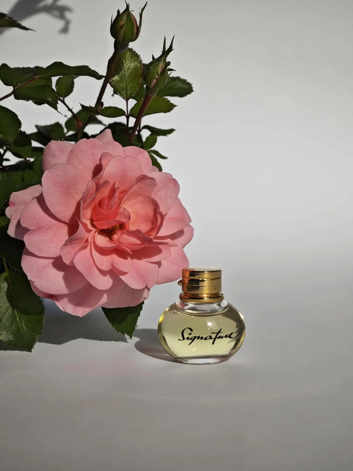 S.T. Dupont Signature