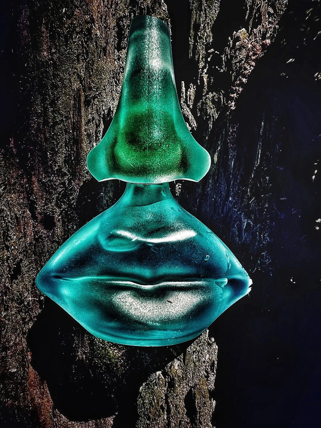 Salvador Dalí Laguna