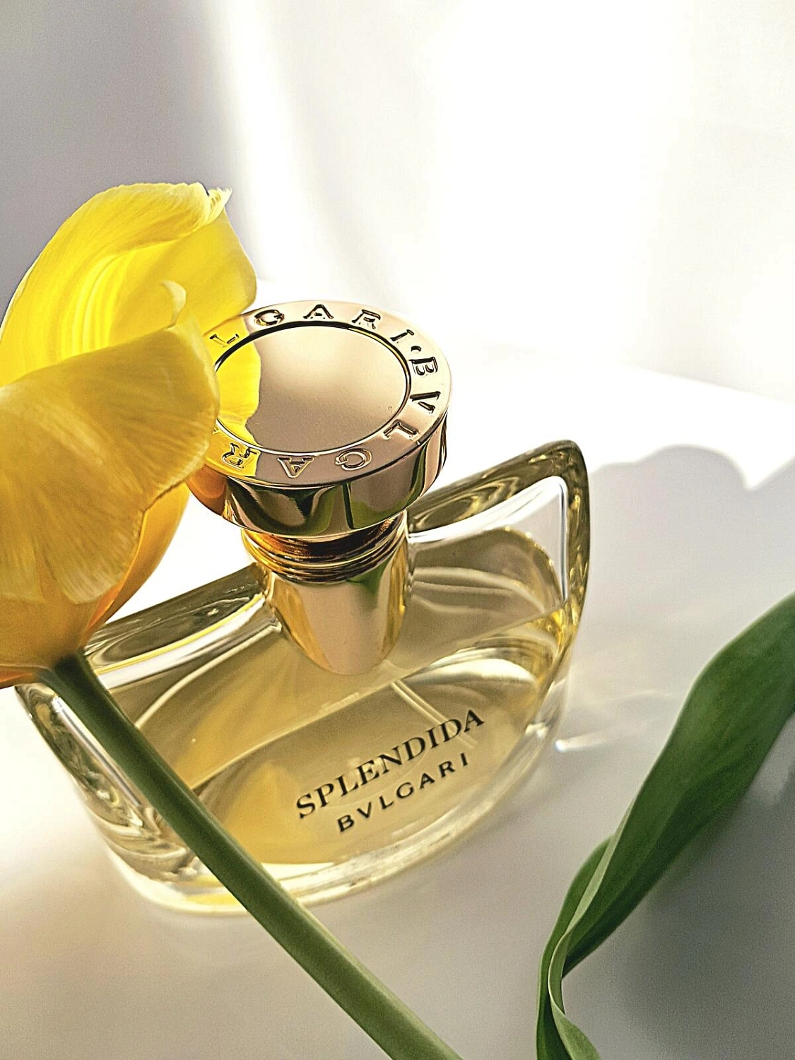 Bvlgari Splendida Iris d'Or