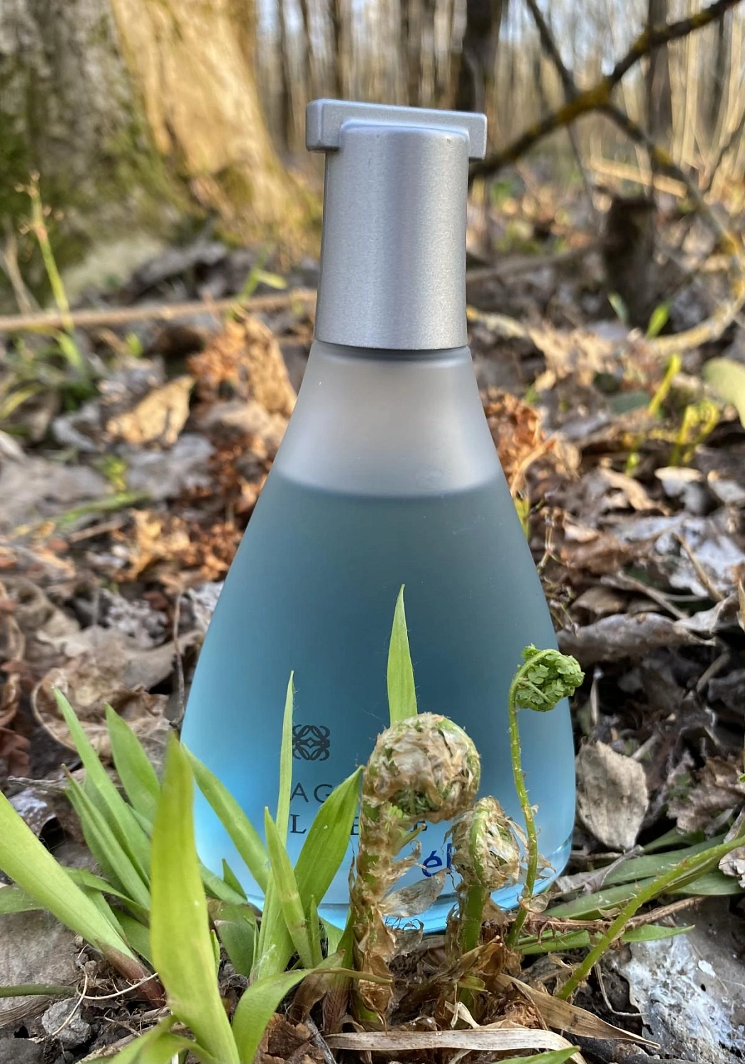 Agua de Loewe El