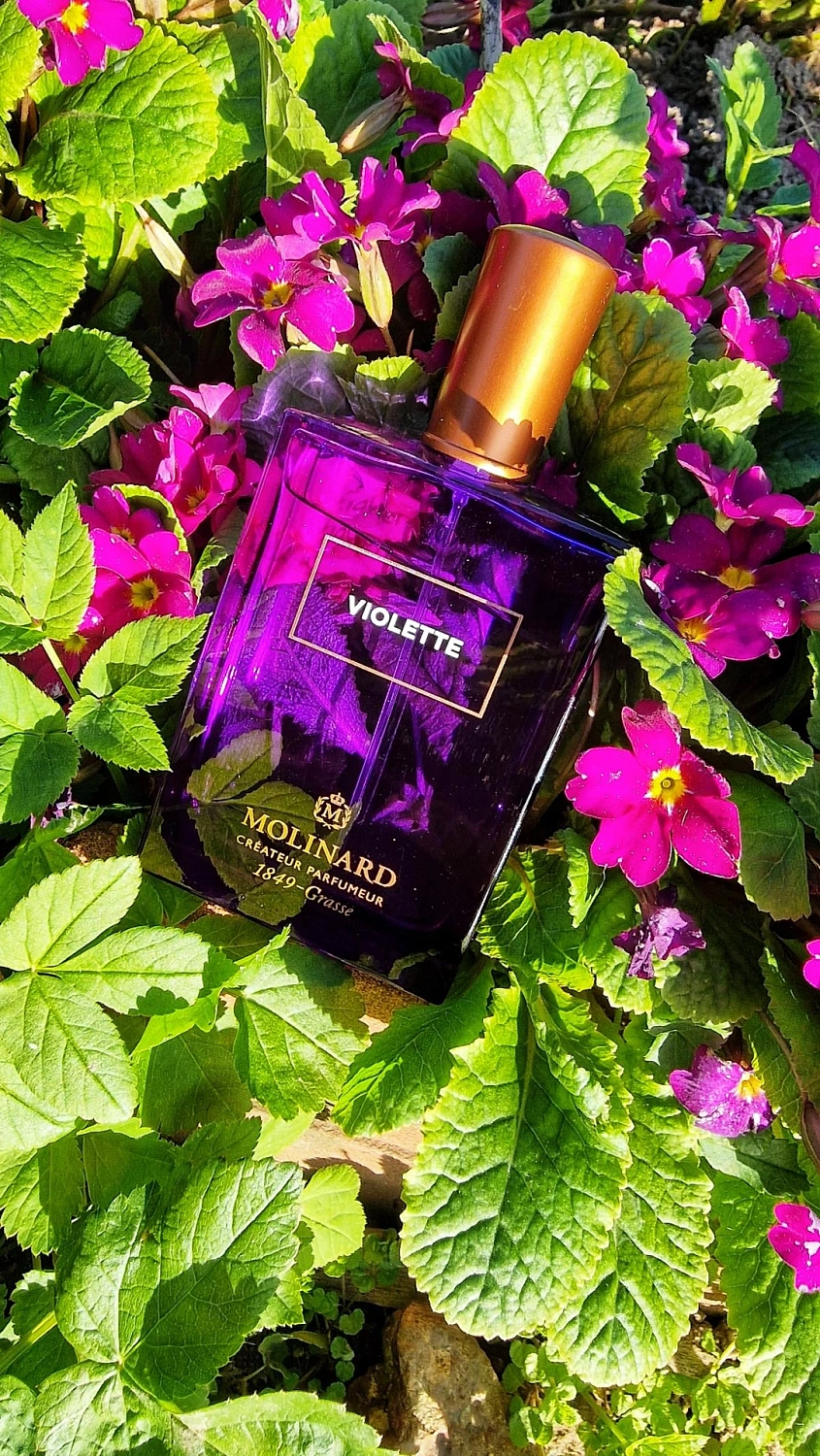 Molinard Violette Eau de Parfum