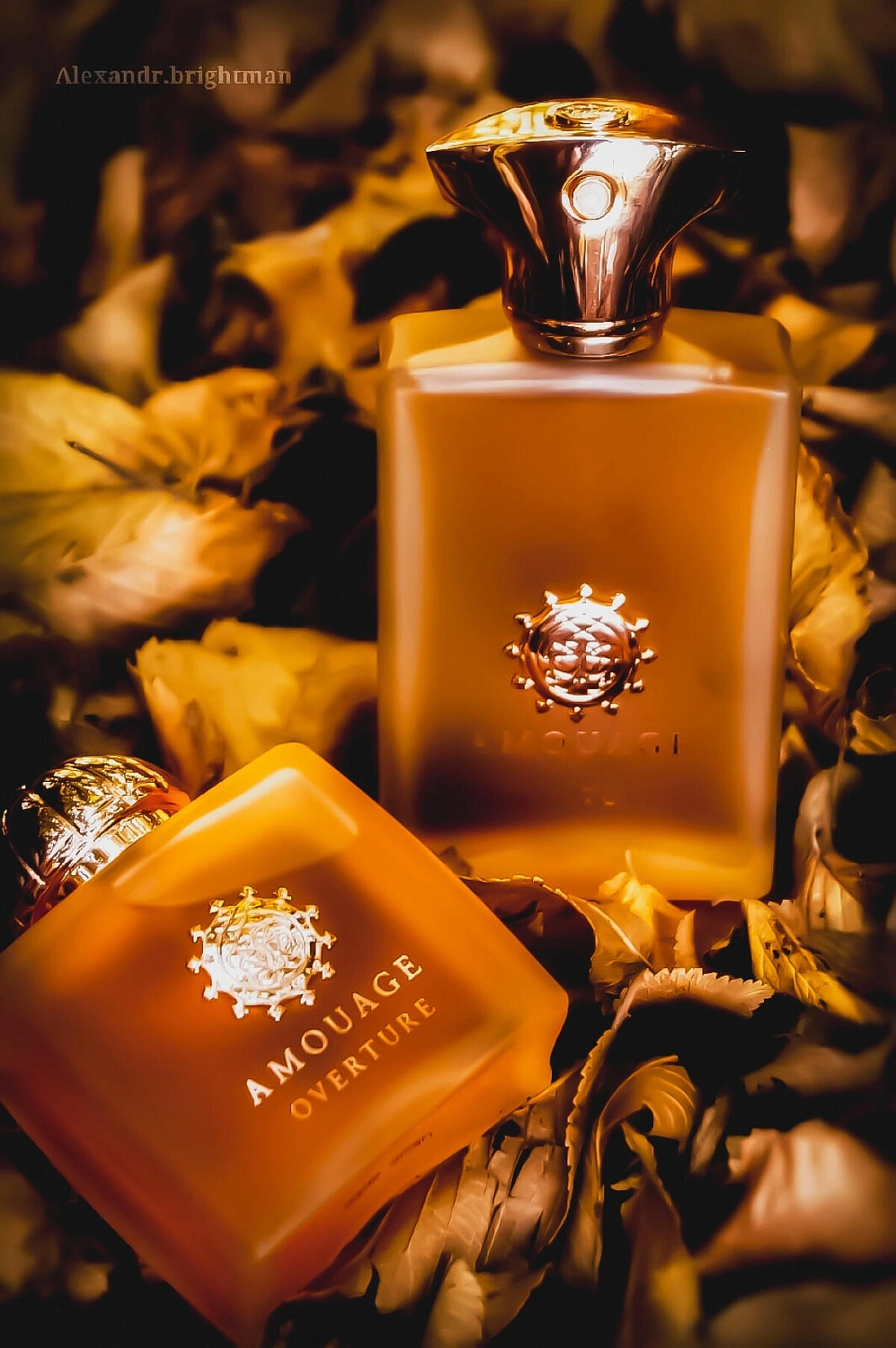Amouage Overture Women
