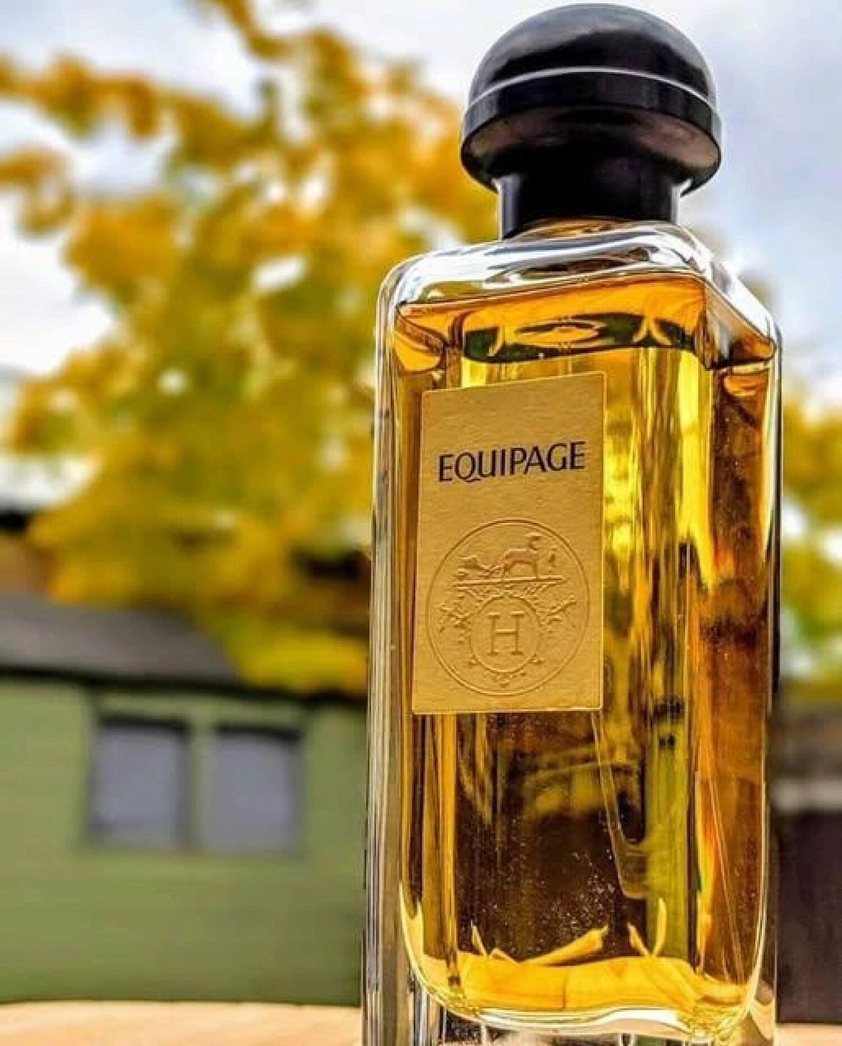Hermès Equipage